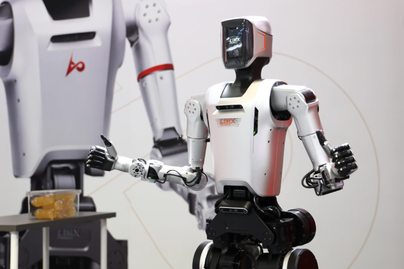 人形機(jī)器人