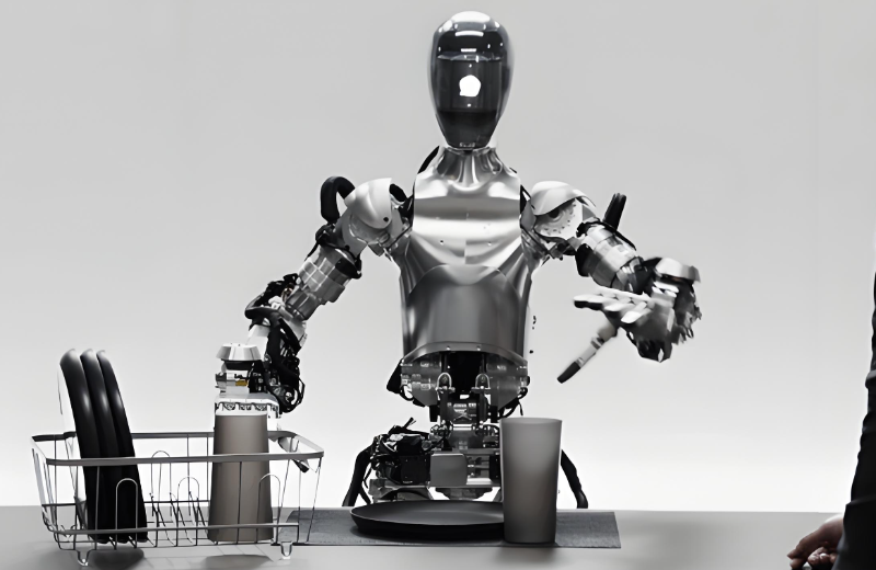 人形機(jī)器人會(huì)抓