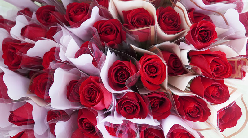 致敬女性力量：做不被定義的“她”！