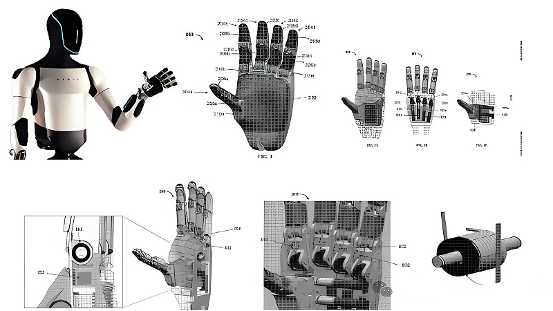 人形機(jī)器人零部件-網(wǎng)圖